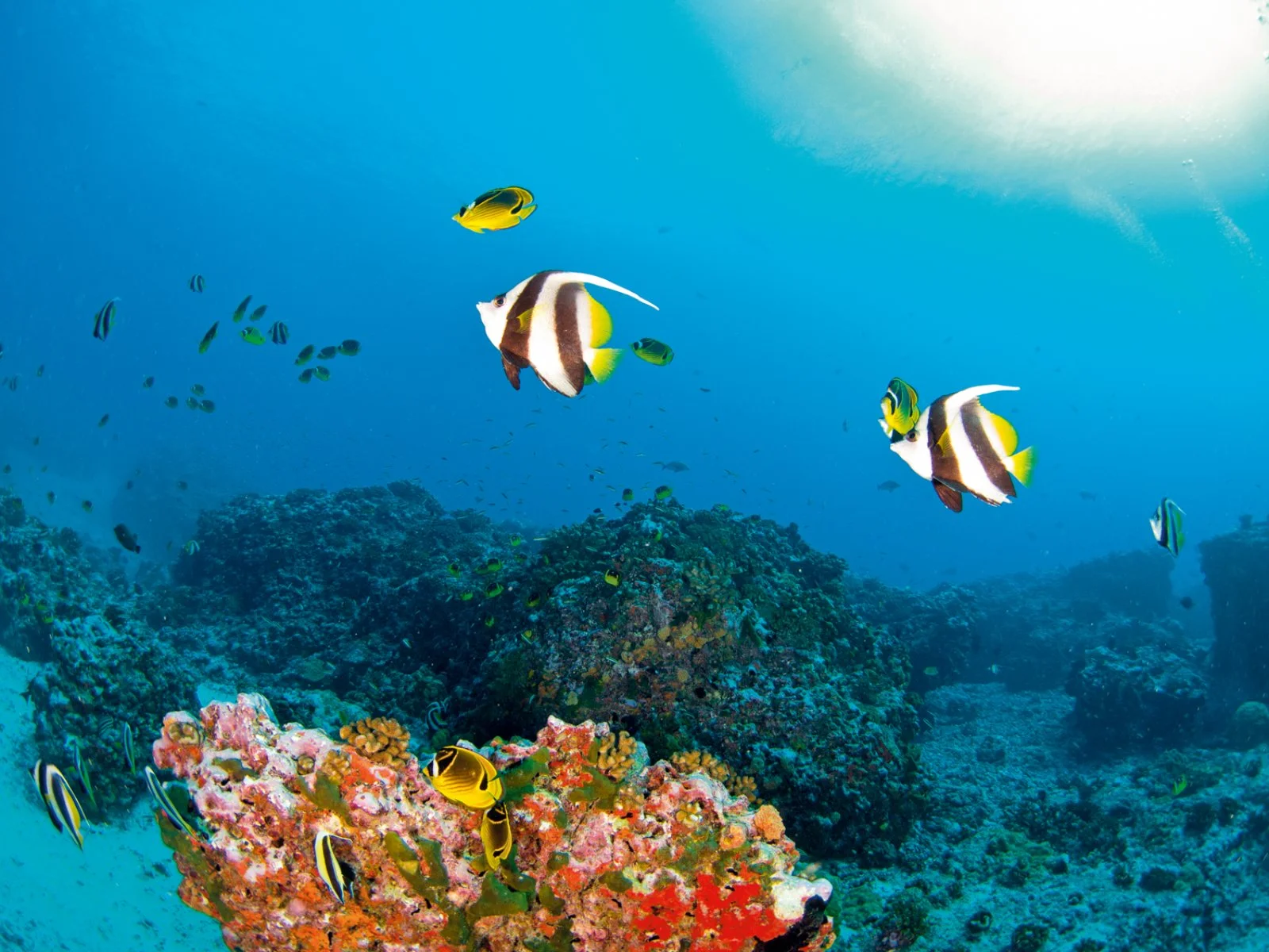 Rangiroa
