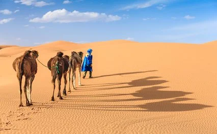 INTOUR EXPLORE GRANDE SUD IN 4X4 – Marrakech
