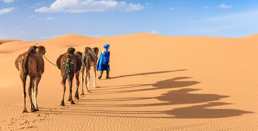INTOUR EXPLORE GRANDE SUD IN 4X4 – Marrakech