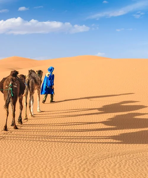 INTOUR EXPLORE GRANDE SUD IN 4X4 – Marrakech