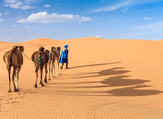 INTOUR EXPLORE GRANDE SUD IN 4X4 – Marrakech