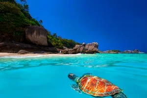 Isole Similan