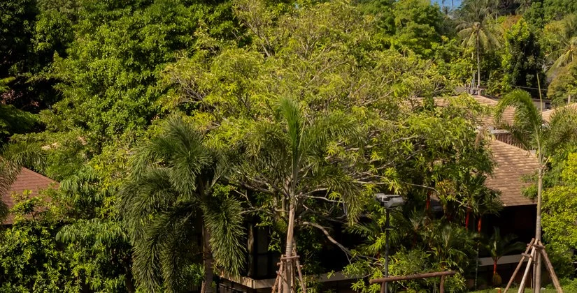PAKASAI RESORT – Thailandia