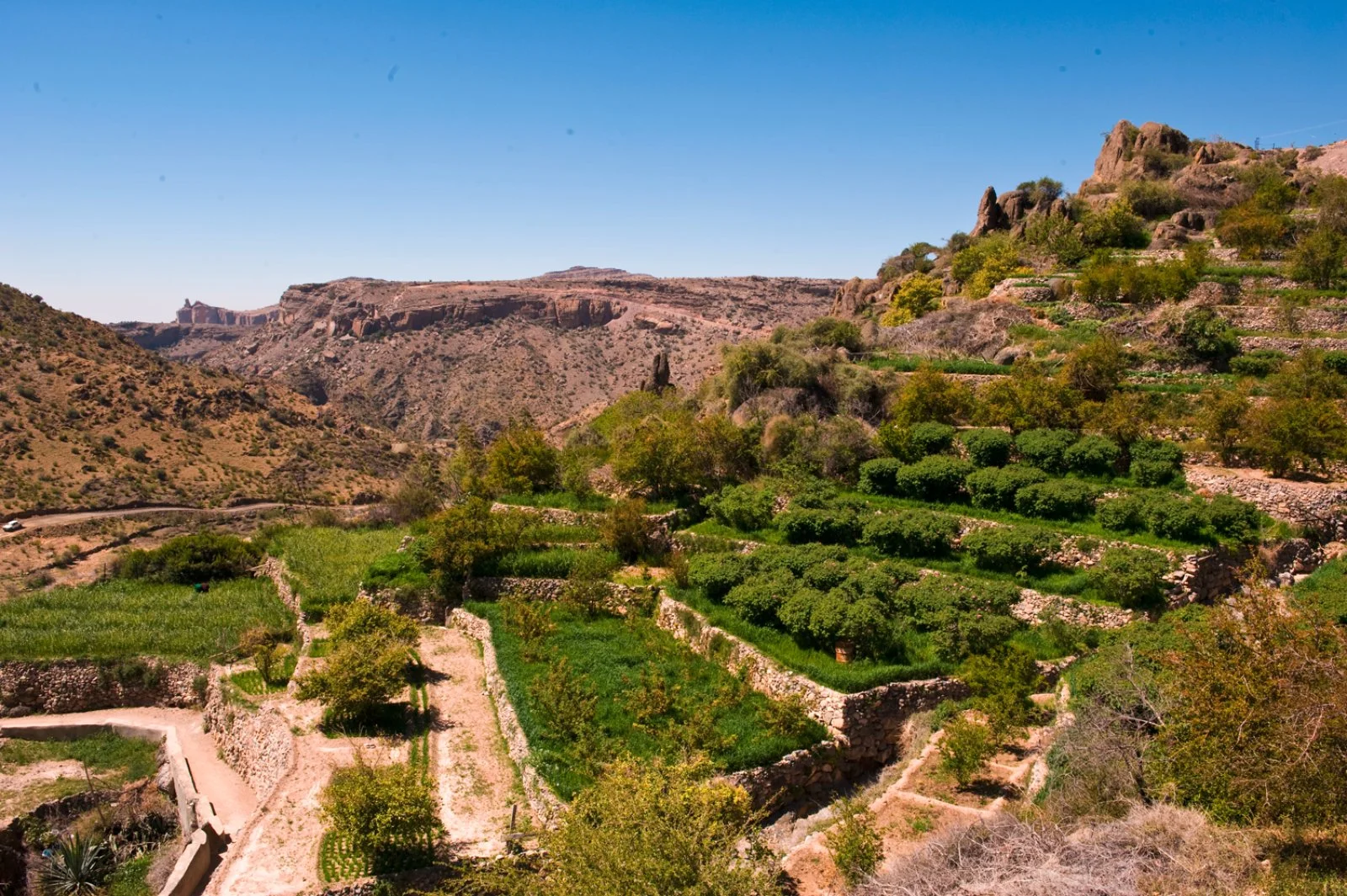 Jabal Akhdar