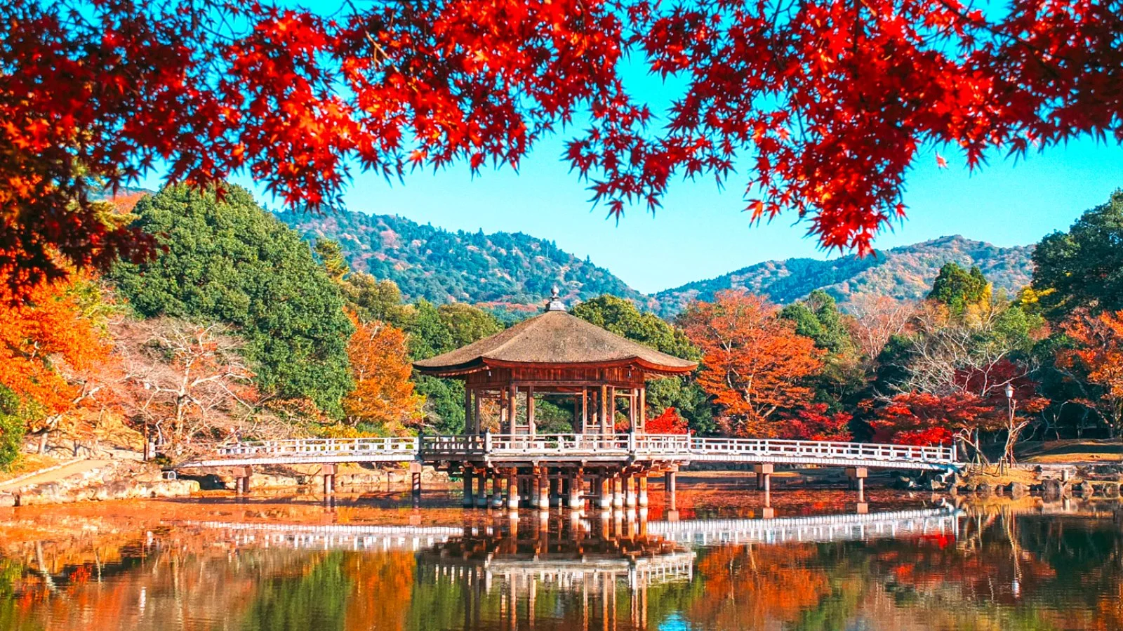 Magic Nakasendo - Nara - Ukimido