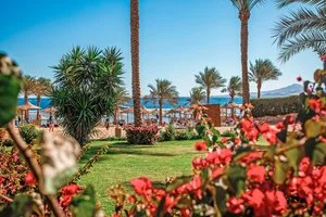 BRAVO TAMRA BEACH – Governatorato del Sinai del Sud