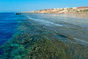 BRAVO TAMRA BEACH – Governatorato del Sinai del Sud