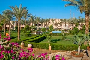BRAVO TAMRA BEACH – Governatorato del Sinai del Sud