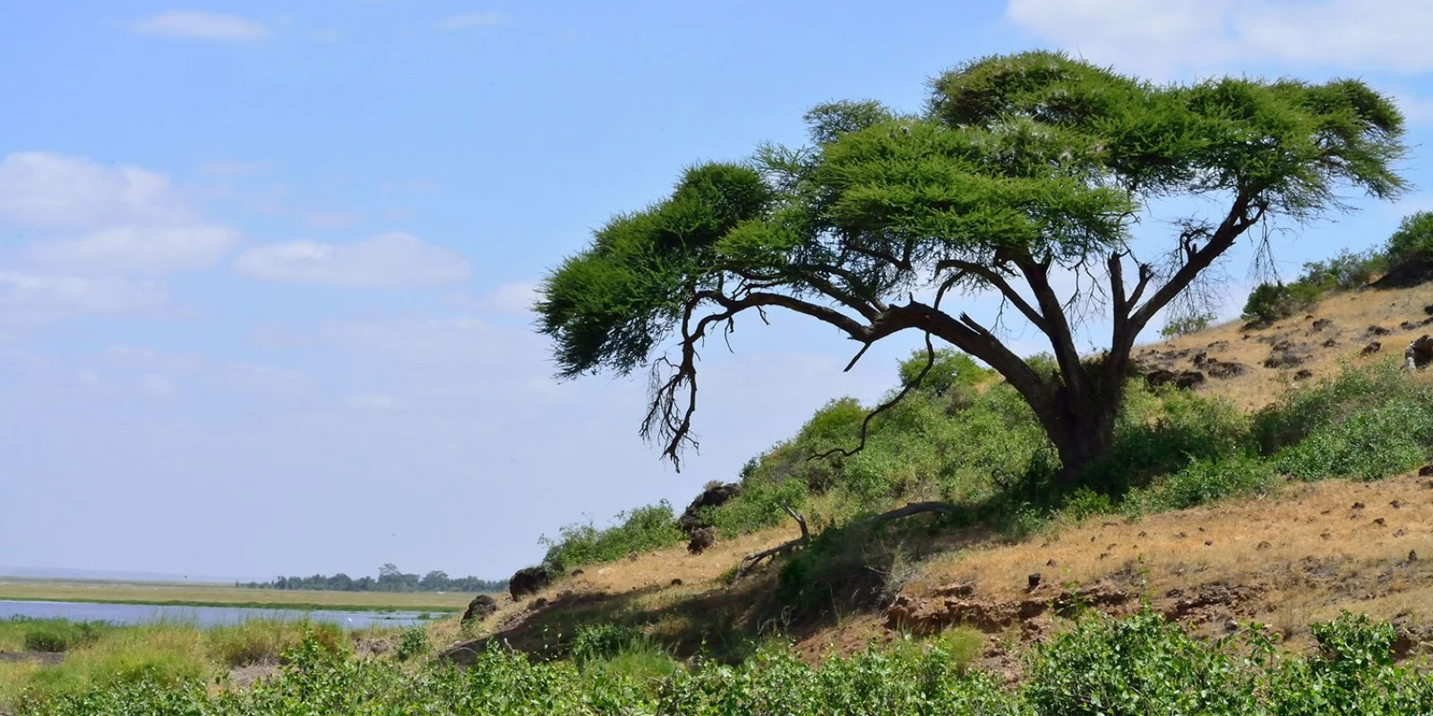 Lago Nakuru - Riserva Masai Mara - immagine 1 di 2