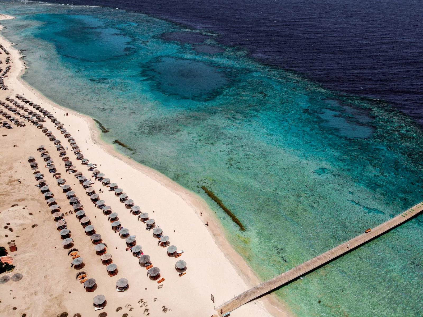 SEACLUB GORGONIA BEACH RESORT – Governatorato del Mar Rosso