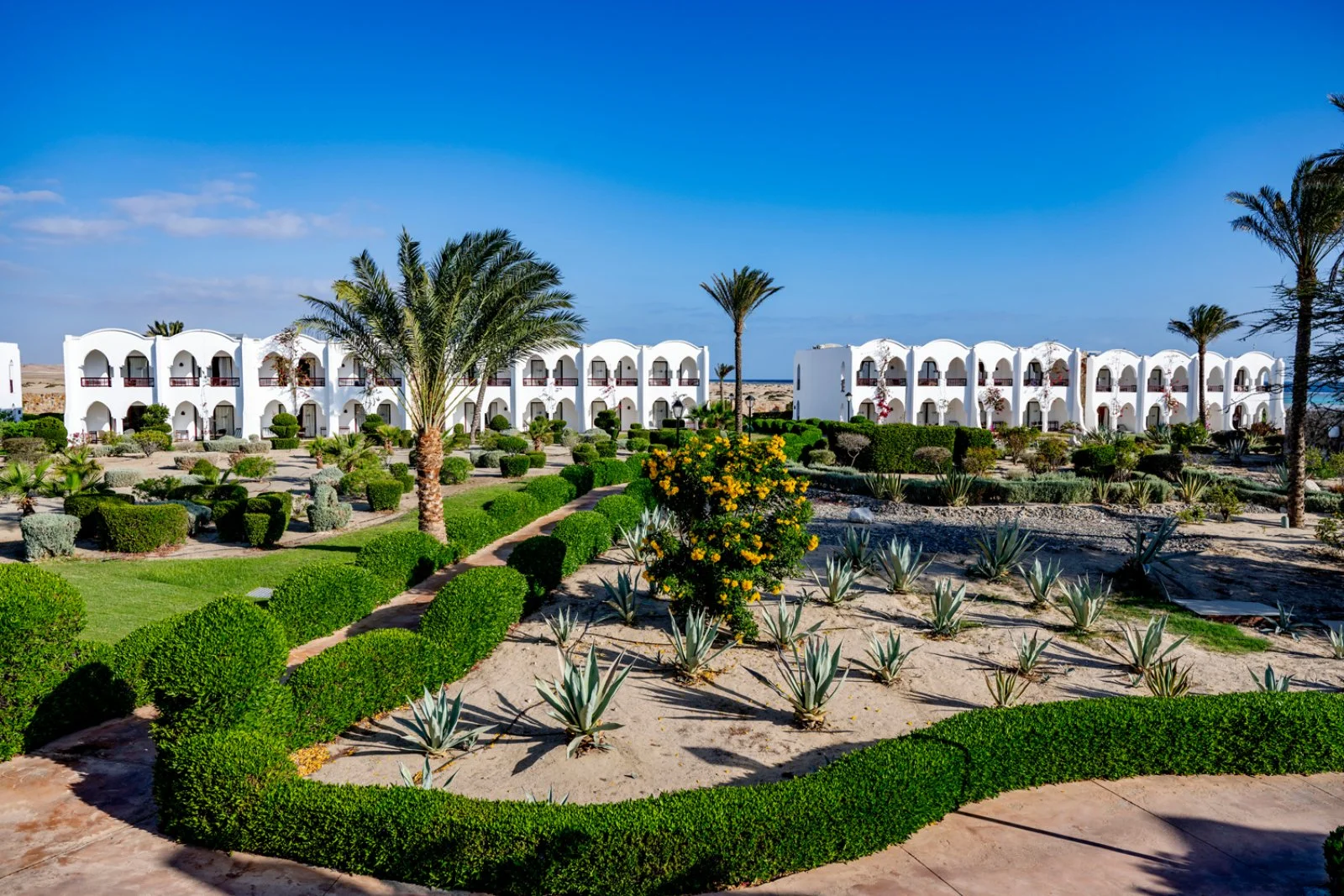 SEACLUB GORGONIA BEACH RESORT – Governatorato del Mar Rosso