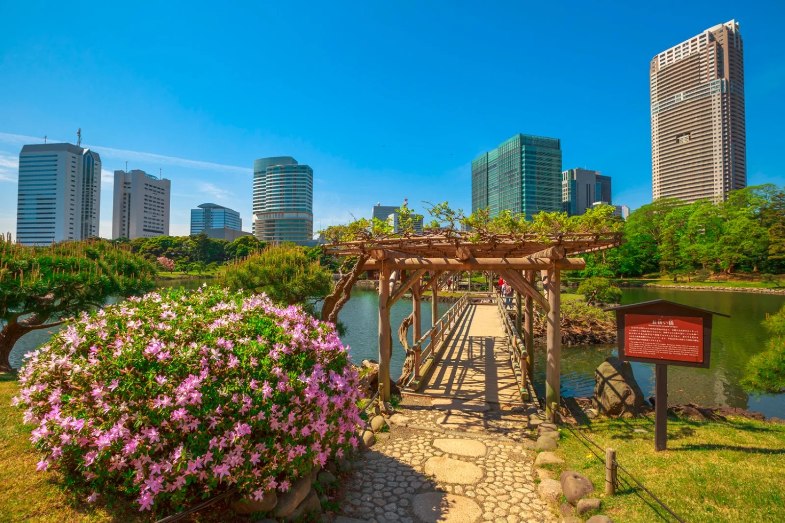 Tokyo