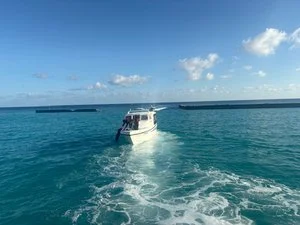 ON THE BEACH MALDIVES GUESTHOU – Maldive