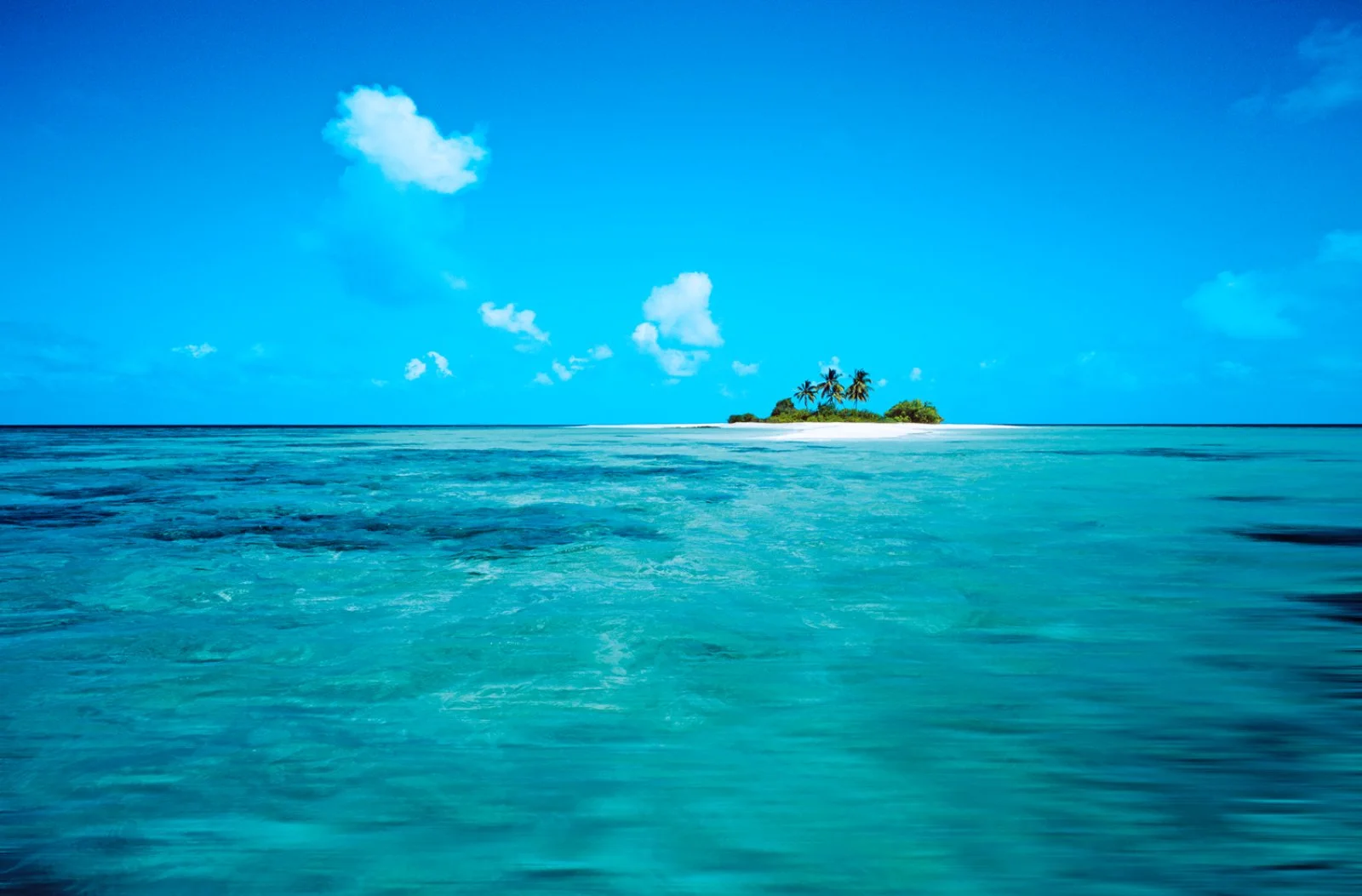 Maldive