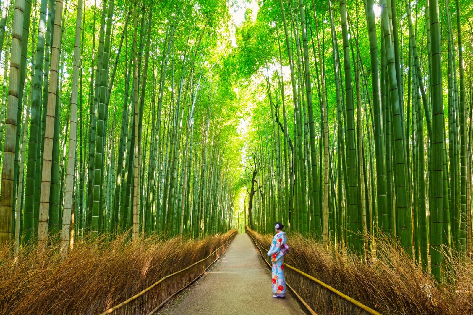 Kyoto
