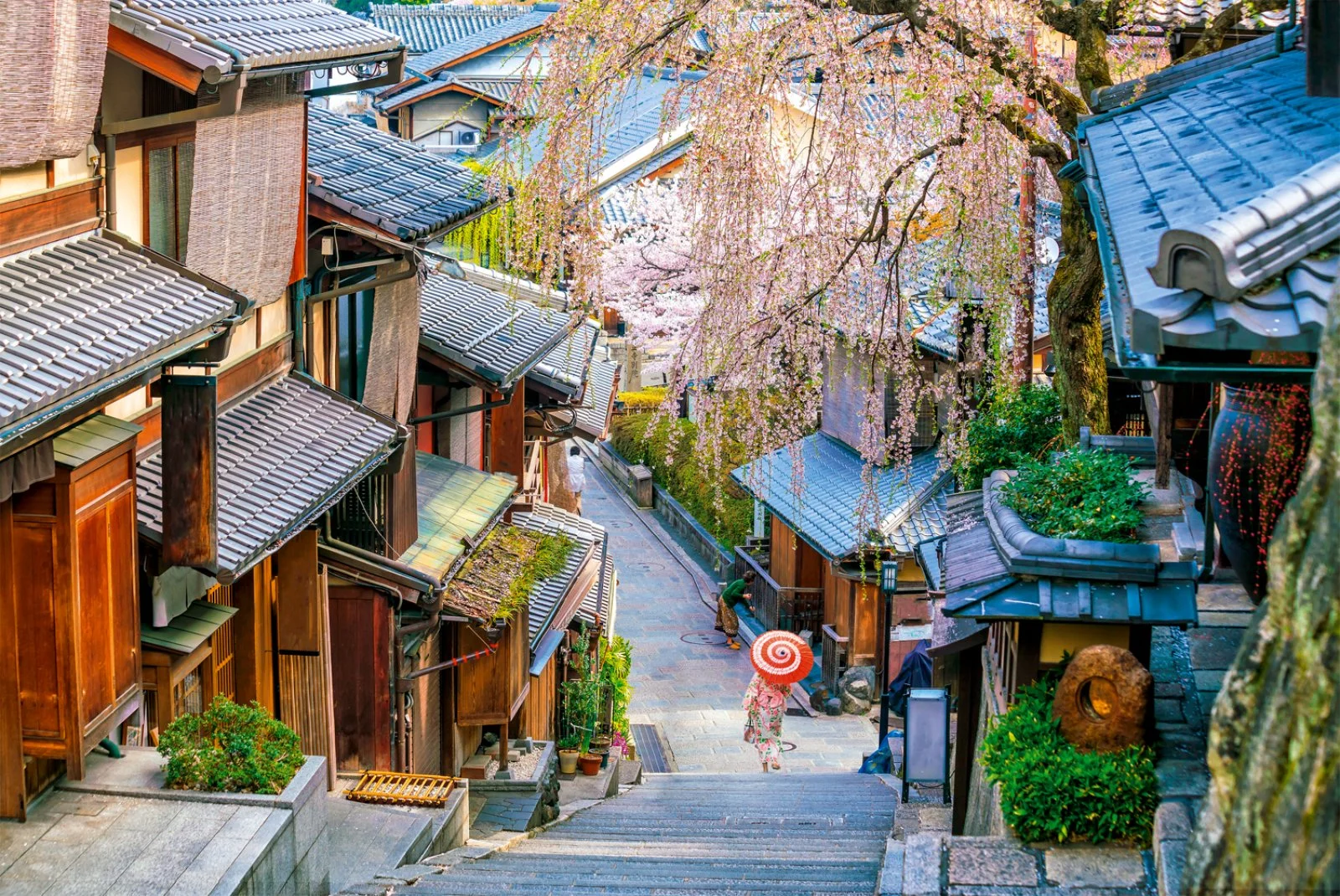 Kyoto - Nara - Kyoto