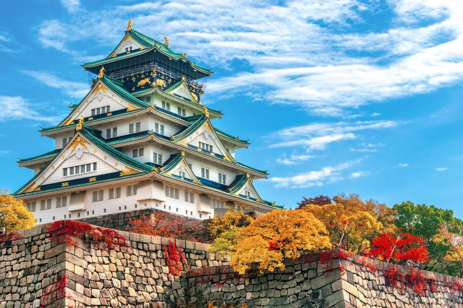 Osaka - Kyoto - immagine 3 di 3