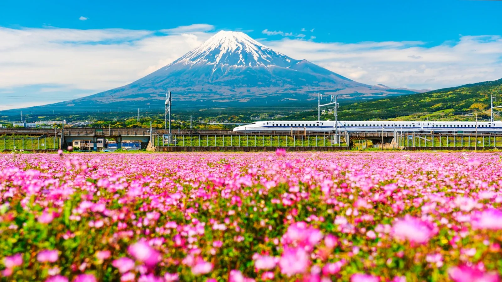 Nagoya - Tokyo - immagine 1 di 2