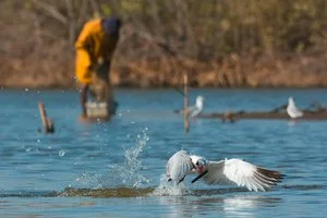 INTOUR L'ANIMA DEL SENEGAL – Ndande