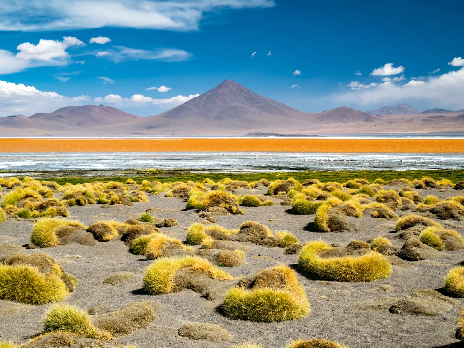 Made In Atacama E Pasqua 