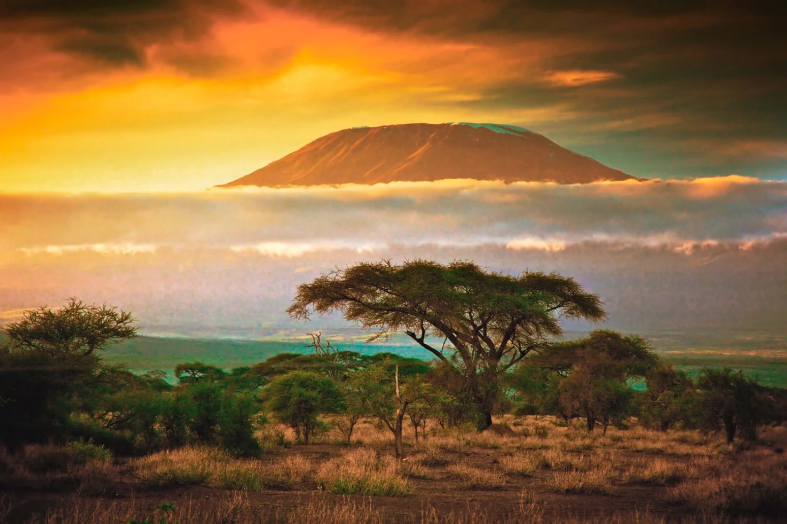 Amboseli National Park: elefanti e Kilimanjaro, l’Africa da cartolina