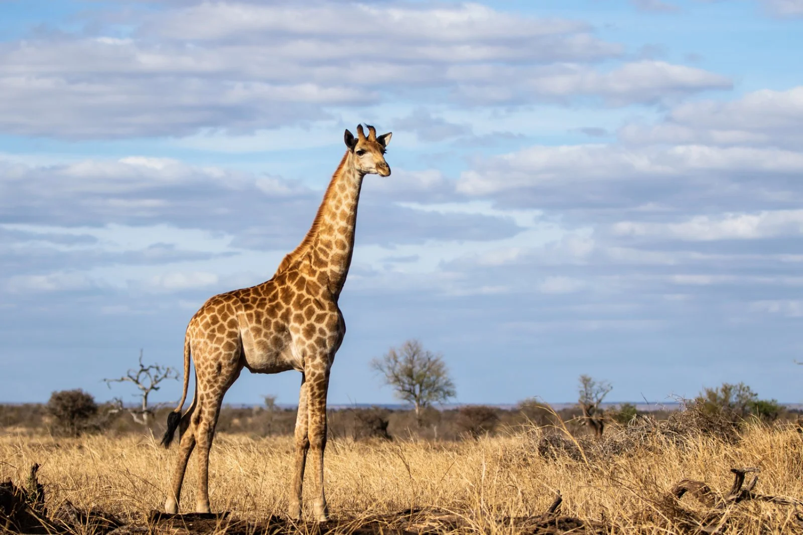 Ngutuni sanctuary: la natura vista da vicino
