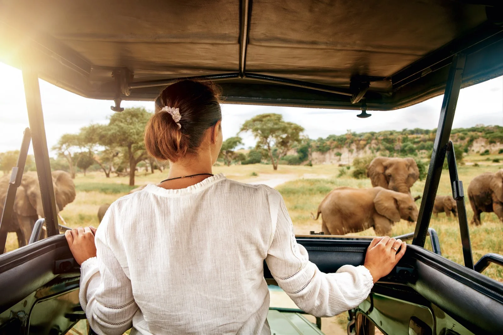 Arusha - Lake Manyara - Karatu