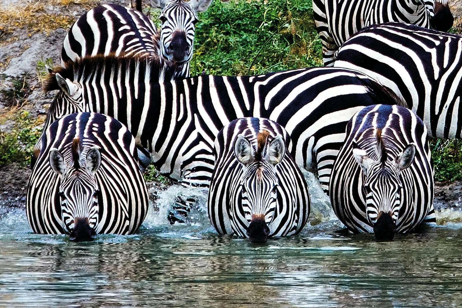 Tarangire - Arusha - immagine 1 di 3