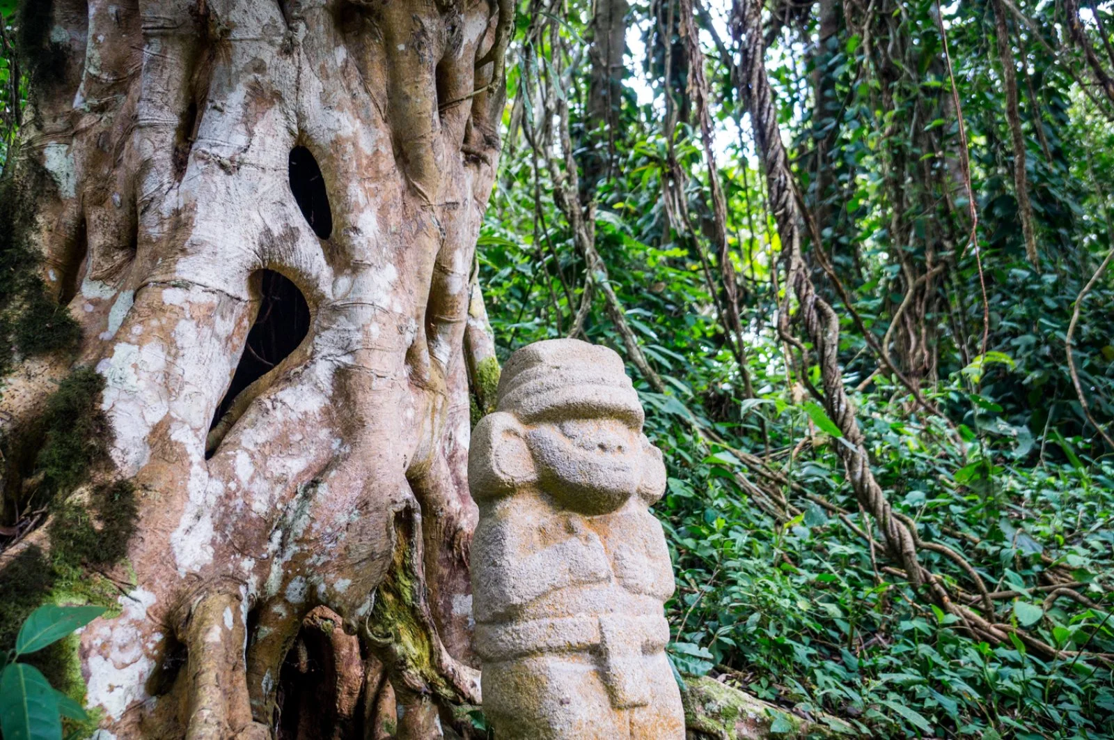 San Agustín - Parco archeologico e Fiume Magdalena - San Agustin