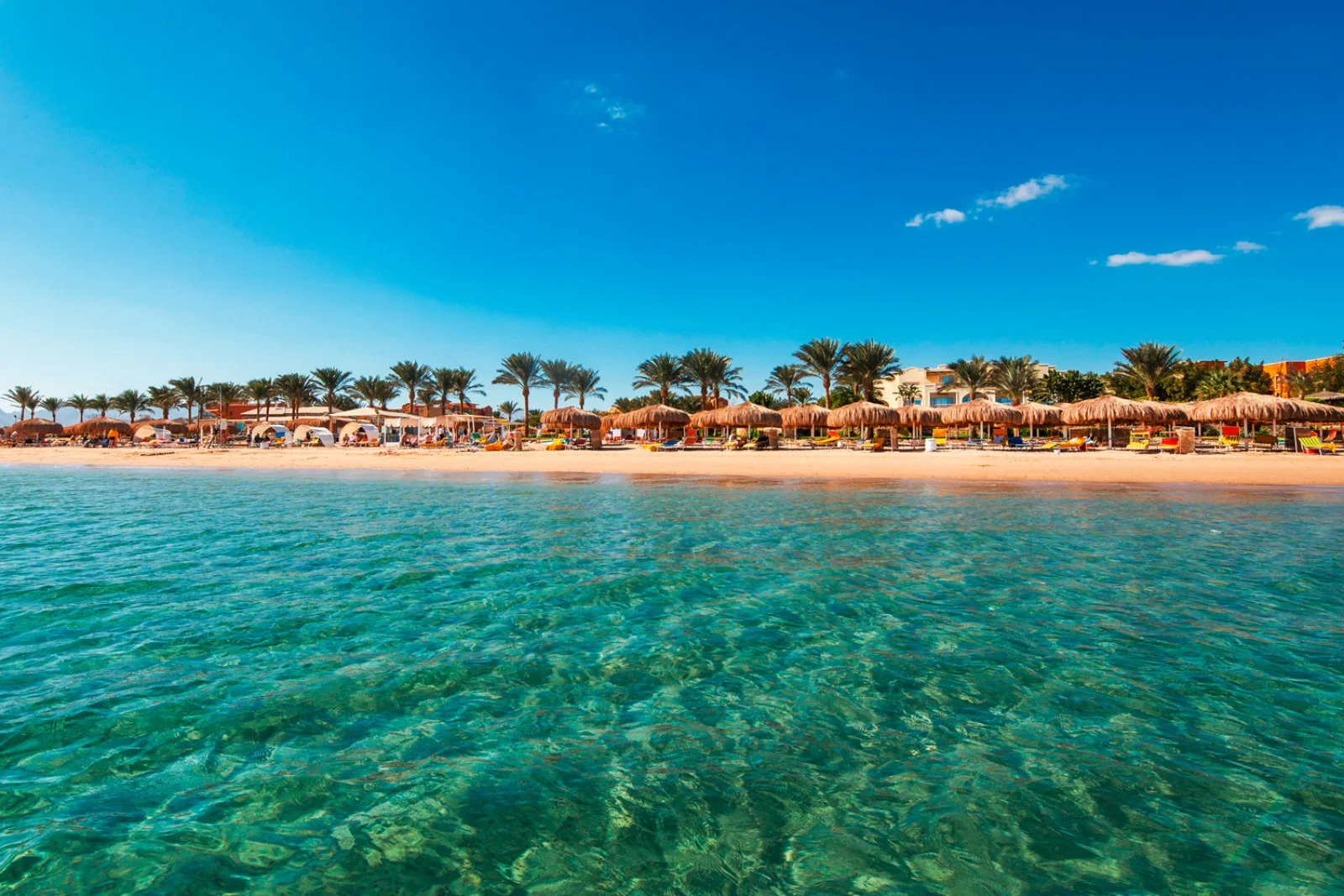 BEACH OVERVIEW