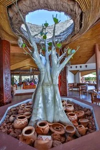 ROYAL HORIZON BAOBAB – La somone
