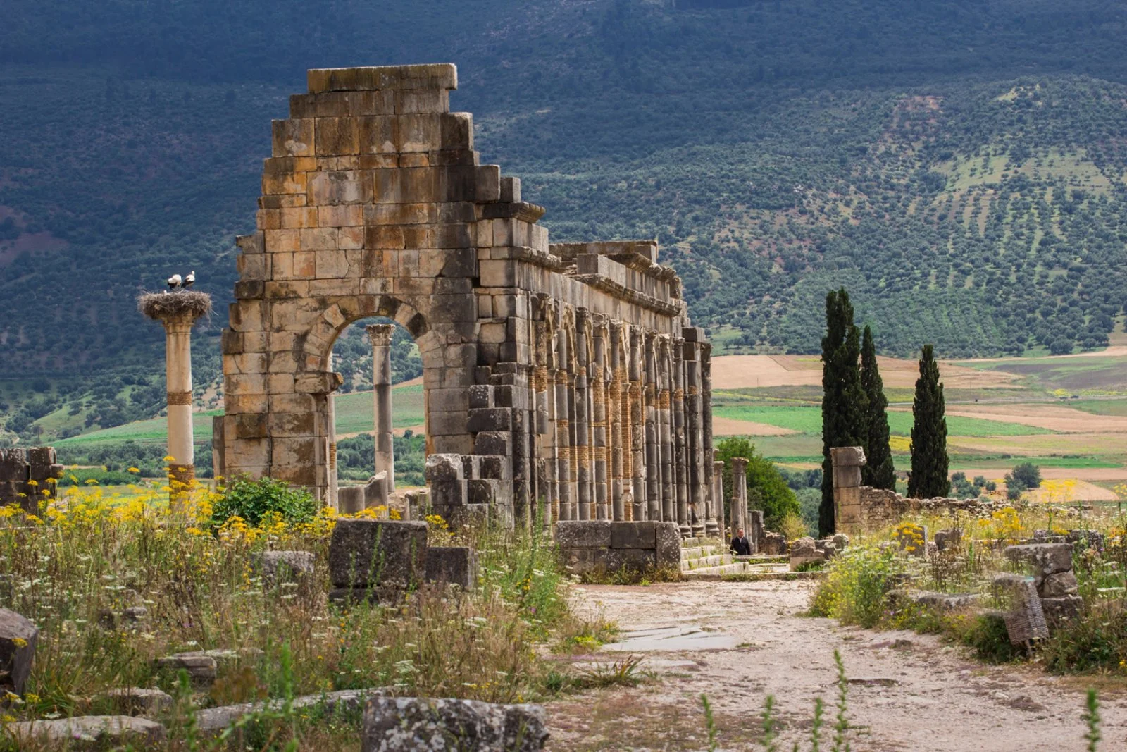 Casablanca/Volubilis/Meknes/Fes (305 km)