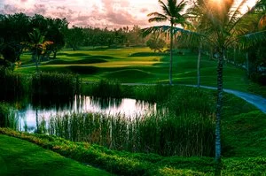 BARCELO BAVARO PALACE – Bavaro