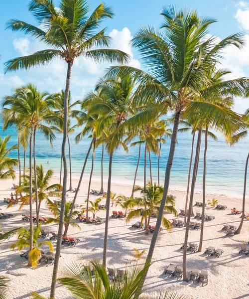 BARCELO BAVARO PALACE – Bavaro