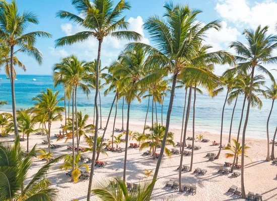 BARCELO BAVARO PALACE – Bavaro