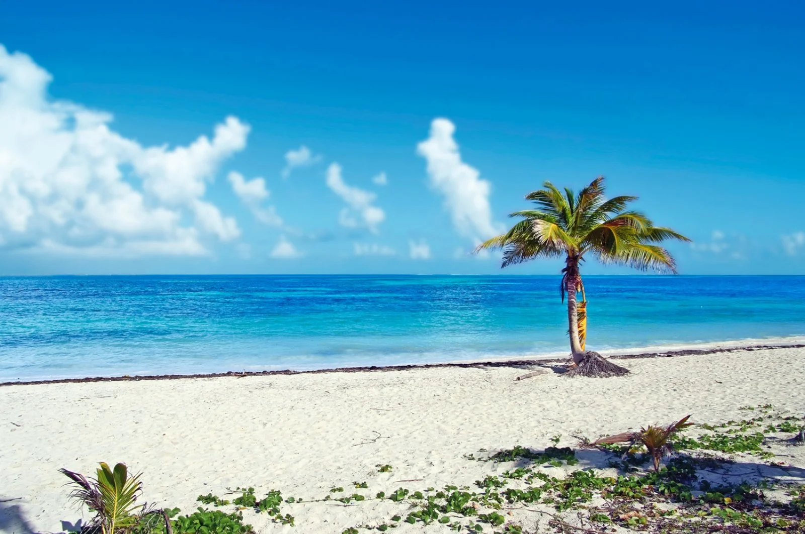 Italia/Cancun