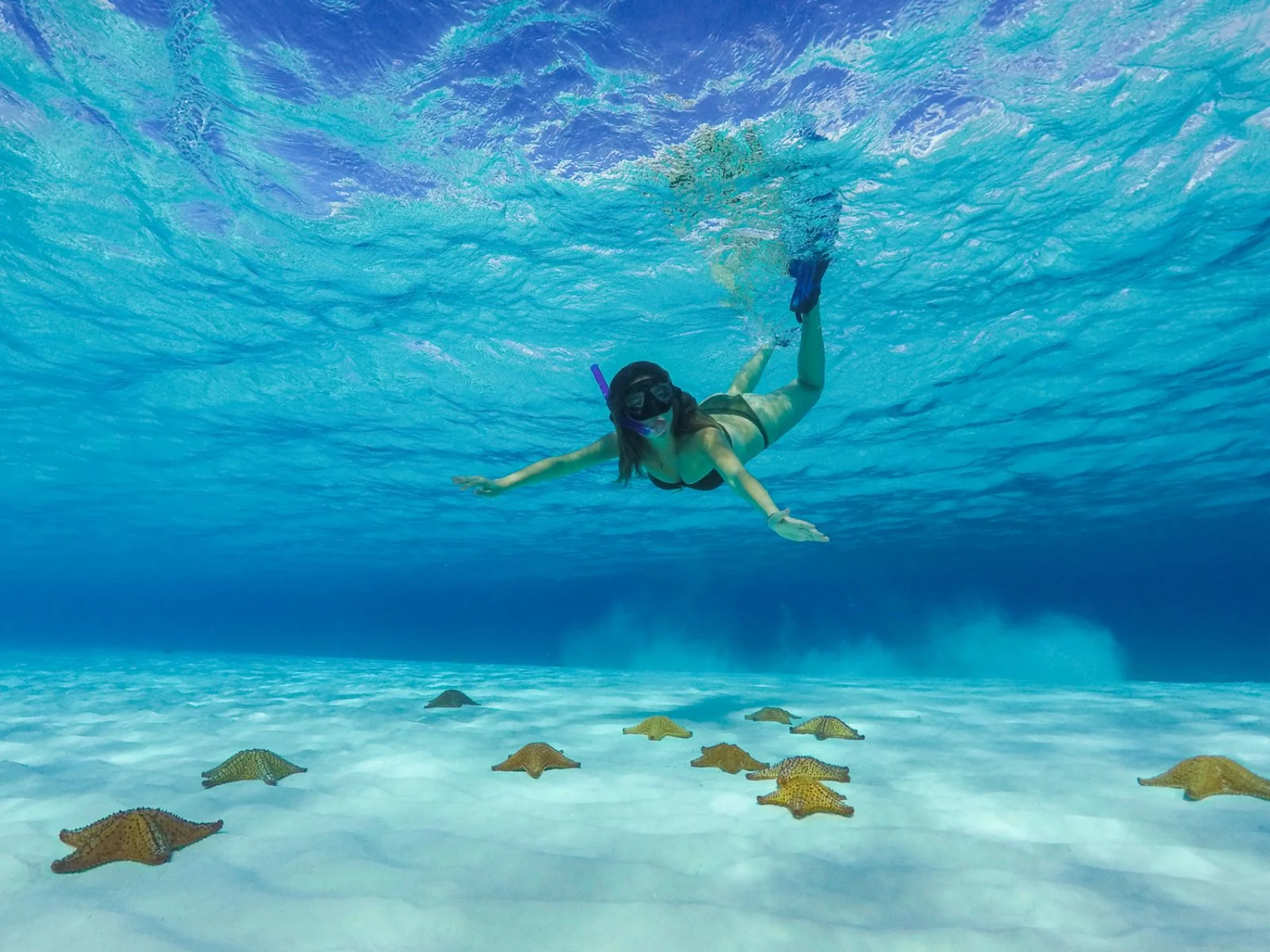 Cancun/Cozumel - immagine 3 di 4