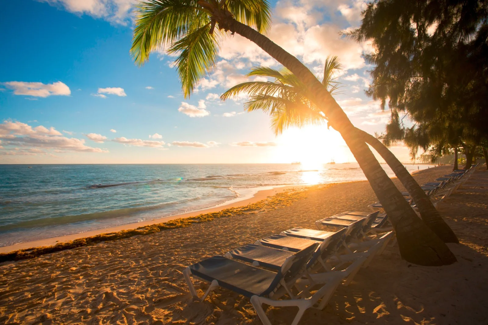 IMPRESSIVE PUNTA CANA