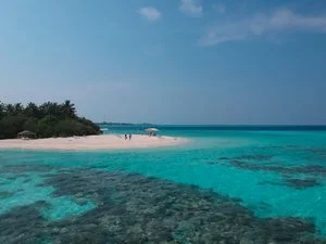 PLUMERIA HOTEL – Maldive