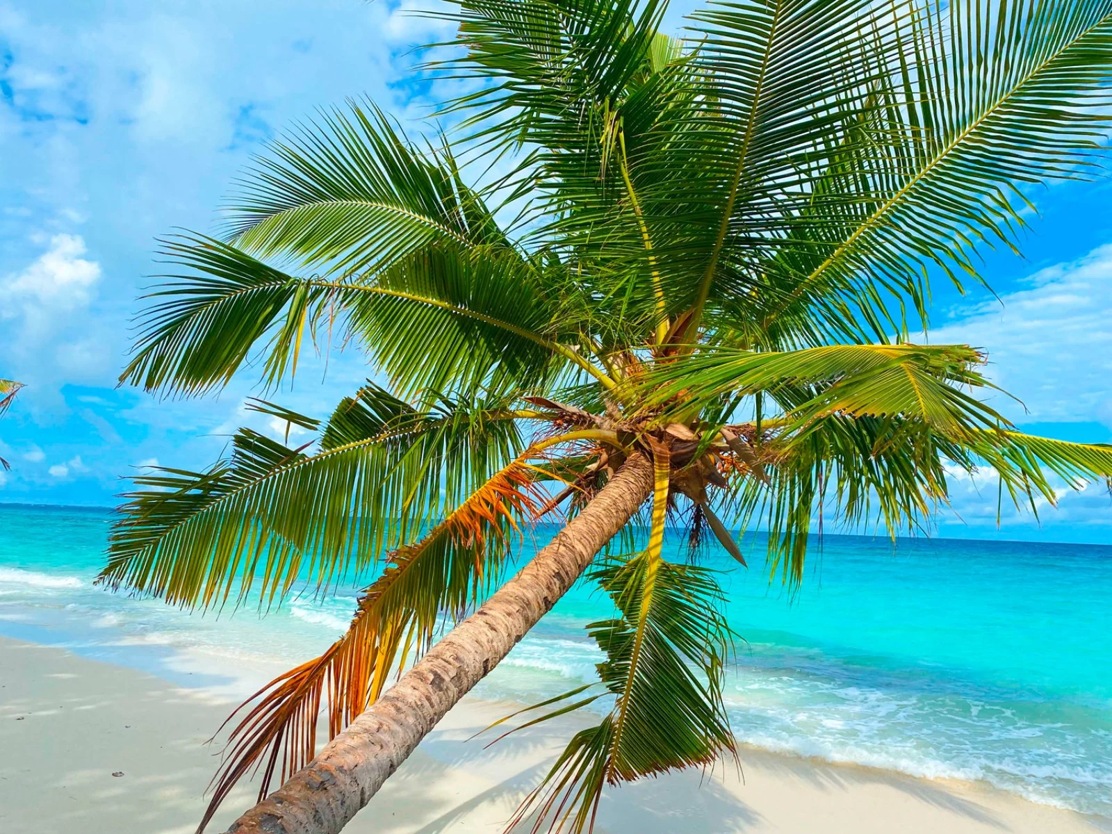 TME RETREATS HOTEL – Maldive