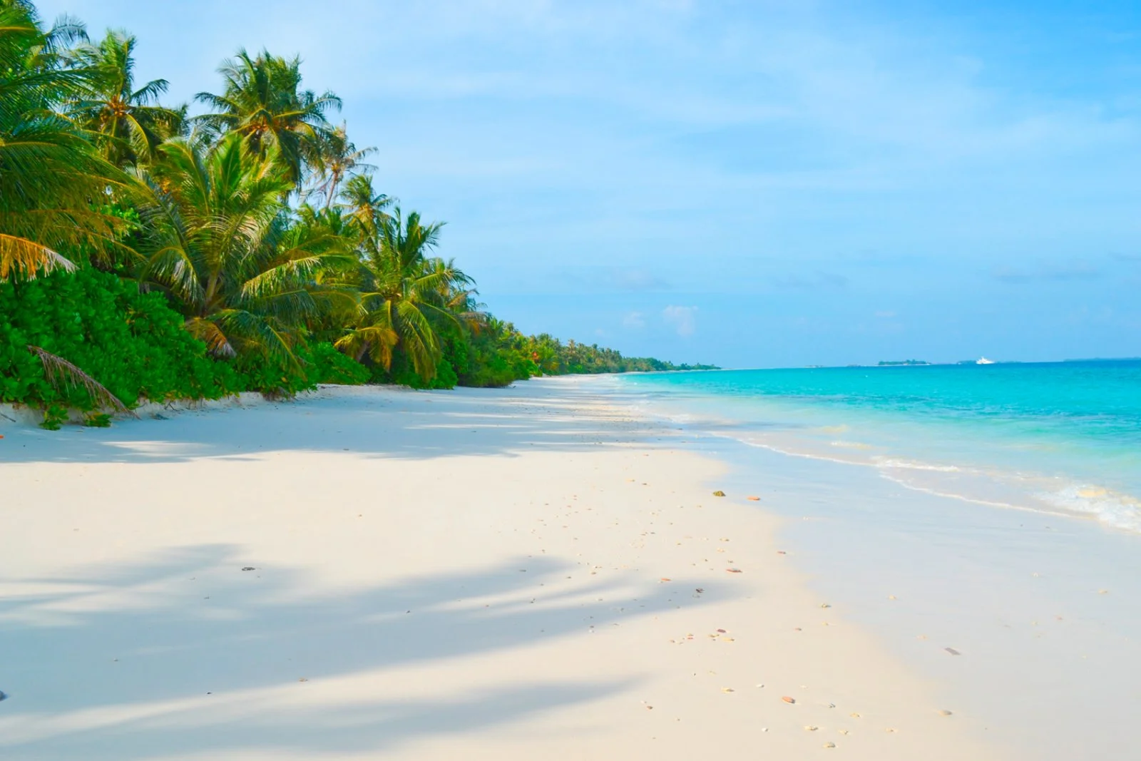 TME RETREATS HOTEL – Maldive