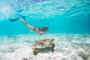 VILLA PARK SUN ISLAND RESORT – Maldive