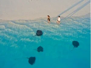 VILLA PARK SUN ISLAND RESORT – Maldive