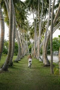 VILLA PARK SUN ISLAND RESORT – Maldive