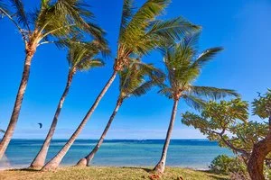 RIU TURQUOISE RESORT – Le Morne VCA