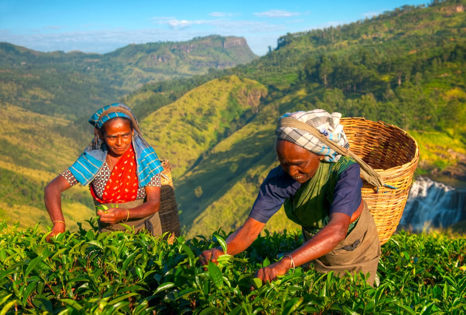 Kandy - Nuwara Eliya - Ella - immagine 3 di 4