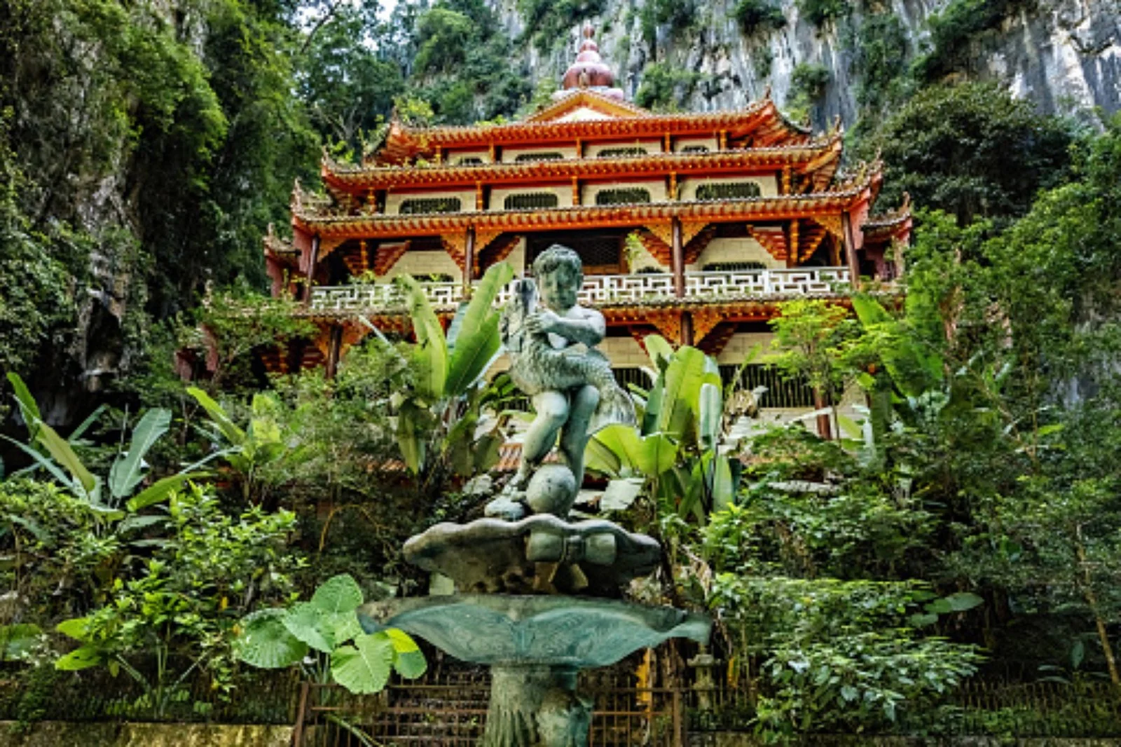 Cameron Highlands - Ipoh - Belum - immagine 3 di 3