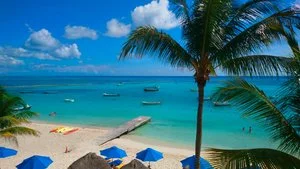 THE REEF COCOBEACH BEACH FRONT RESORT & SPA – Playa del Carmen