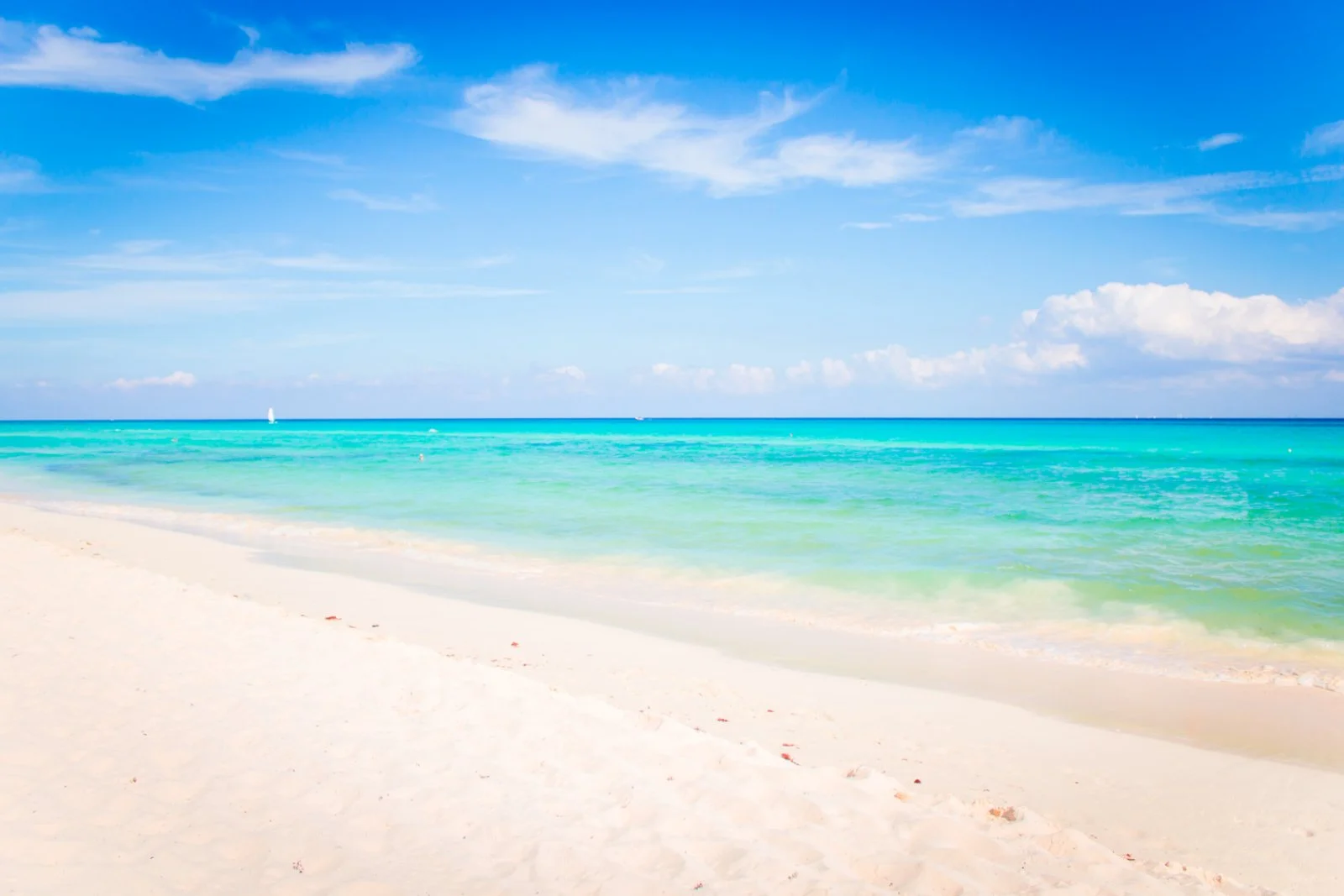 THE REEF PLAYACAR – Playa del Carmen