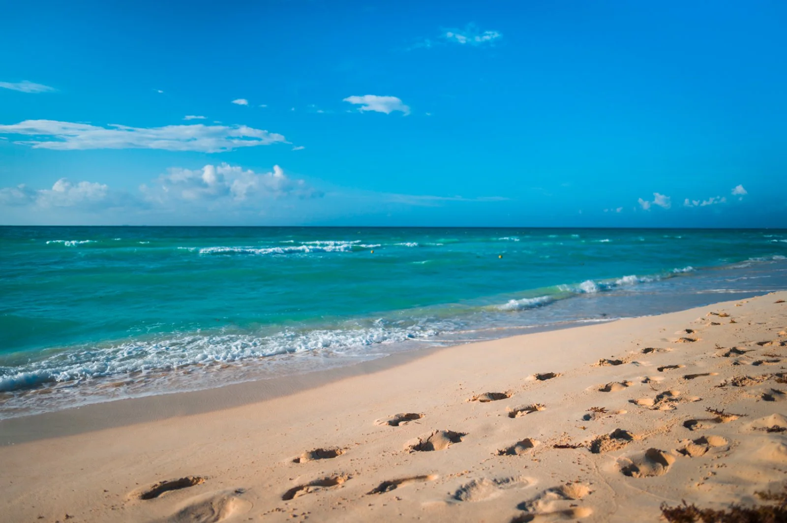 THE REEF PLAYACAR – Playa del Carmen